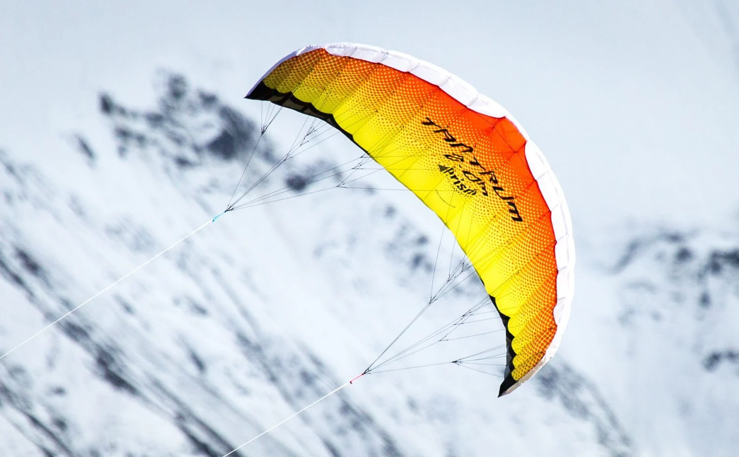 tantrum-220-kite (2)