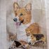 Premier Kites - 28 in. Flag - Welsh Corgi