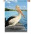 Premier Kites - 28 in. Flag - White Pelican