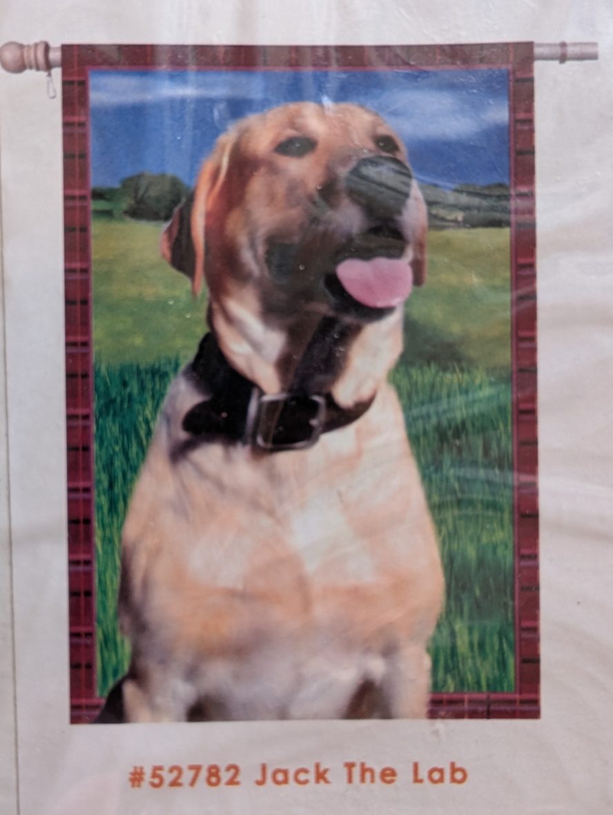 Premier Kites – 28 in. Flag – Jack the Lab